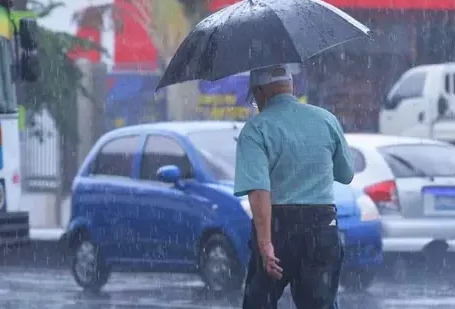 Captura-de-pantalla-2024-11-13-073015