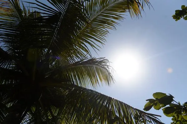 dia-soleado-