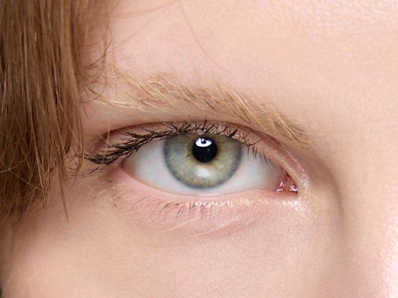 f.elconfidencial.com_original_a79_5b5_dcd_a795b5dcdb3b2ca664e4cbc53b29138a