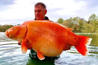 KO4WV3Q67ZBD7HKQWNH2MHPA3U