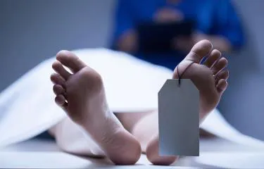 muerto-645b9fe3-focus-0-0-375-240 (1)