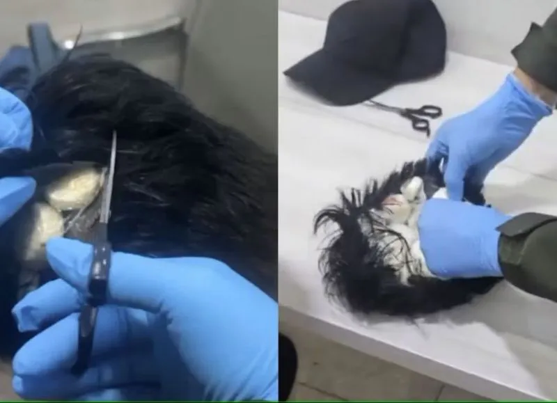 bbx_532114584_peluca