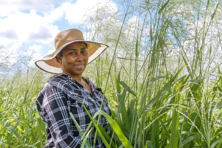 04f0bee2-65d3-409d-a2ea-e860f64ee3bb