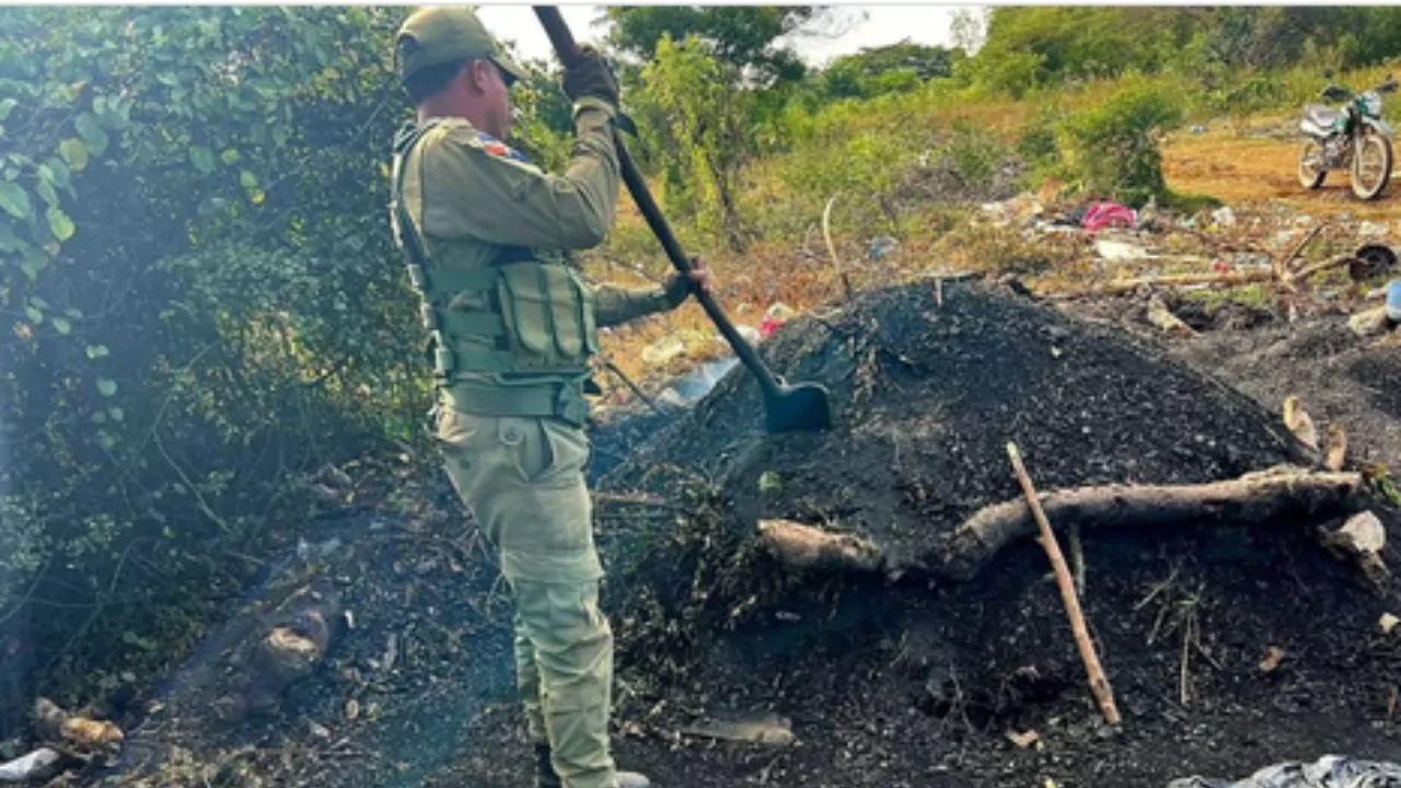 SENPA-y-Medio-Ambiente-desmantelan-centro-ilegal-de-produccion-de-carbon-vegetal-1