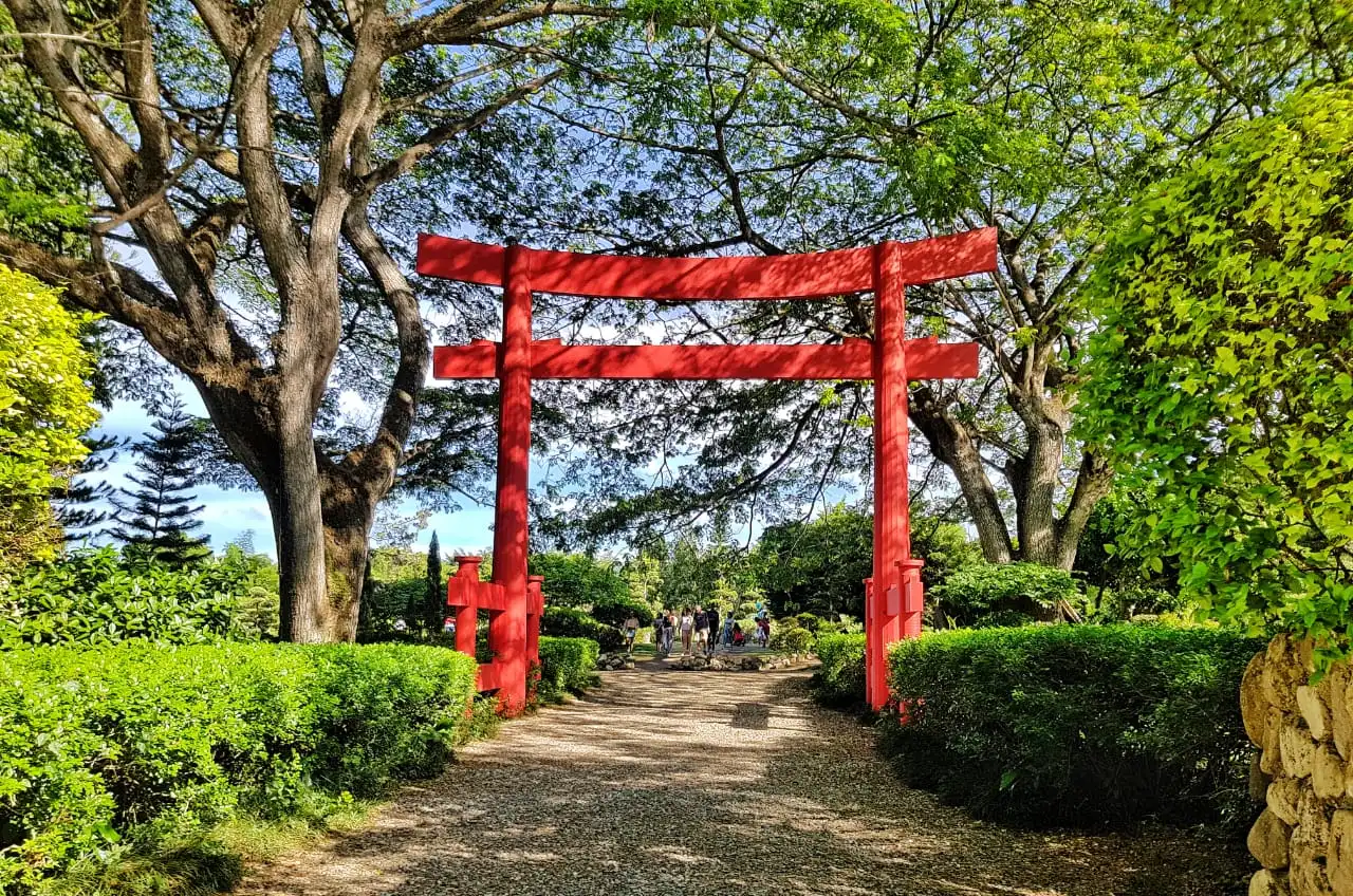 quemahsago-jardin_botanico_santo_domingo_marichams-09
