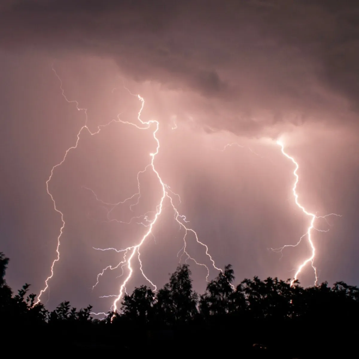 debate_rayo.jpeg_375108060