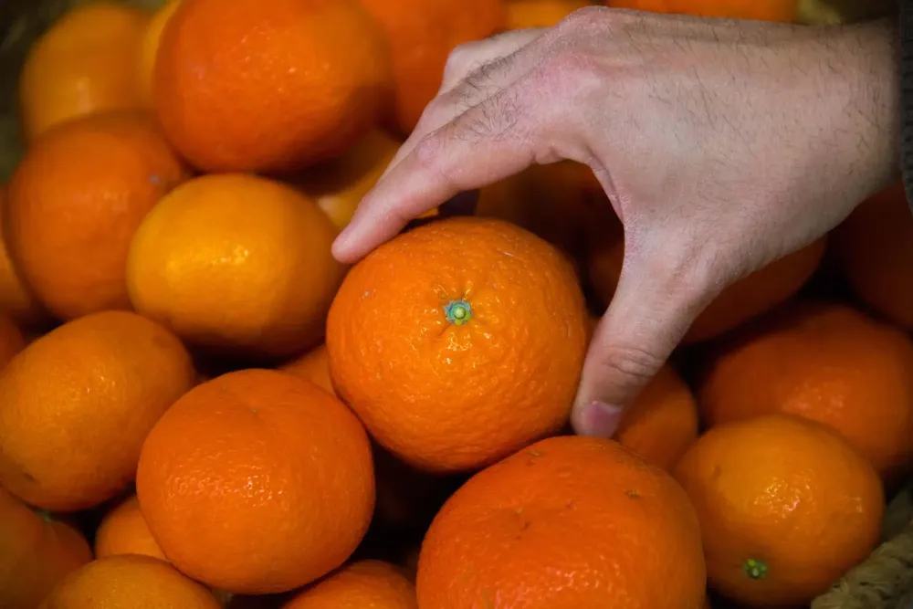 rss-efe5b77685b63d7eebb47a615f7b660441094d15613w