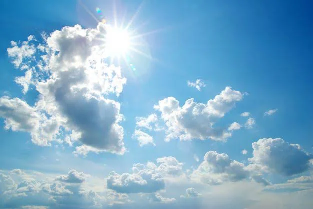 images (24)