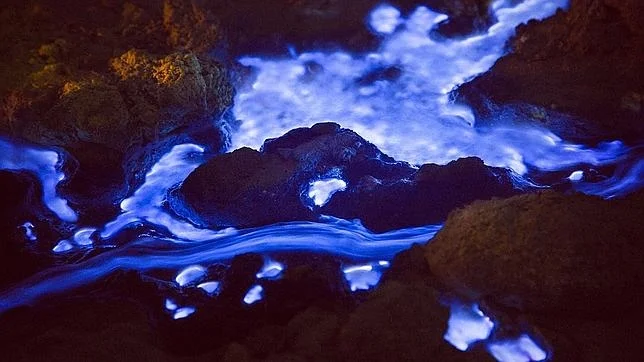 blue-fire-java2--644x362