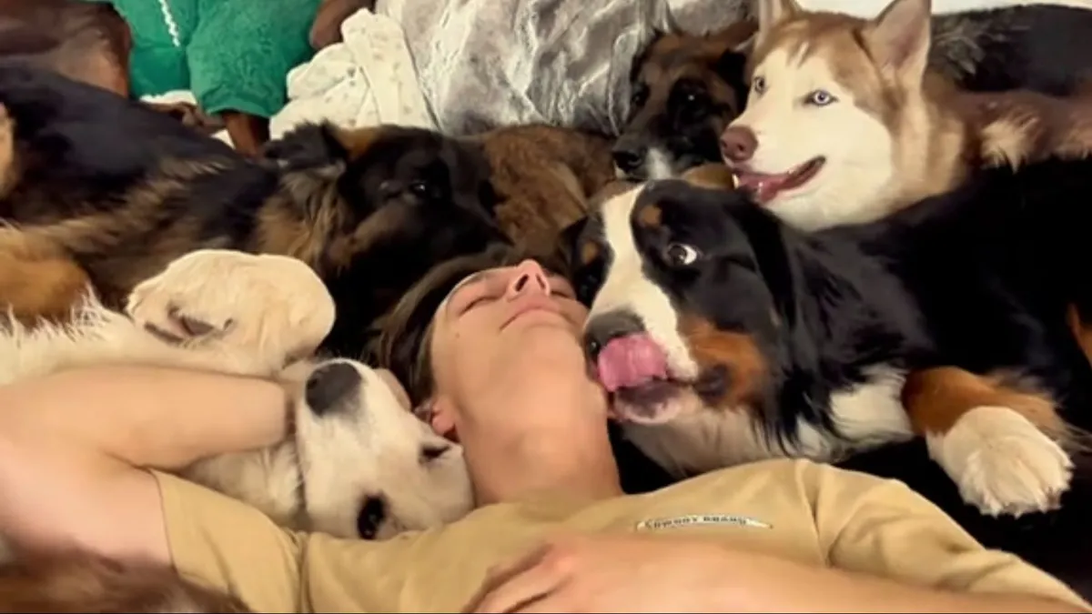 jon-que-vive-con-18-perros_1606