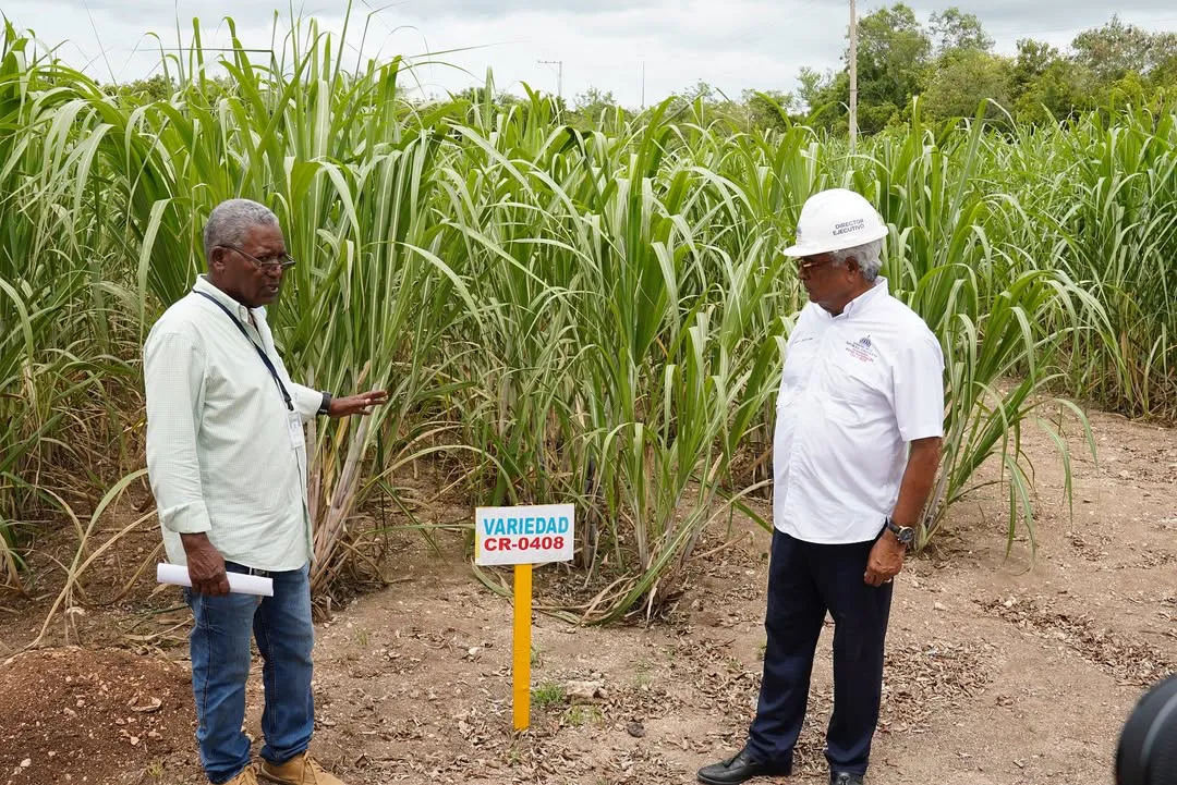 El Dr. Rafael A. Burgos Gómez, director general de @dgbnrdo y honorífico de @cea_rd, encabezó ju (7)