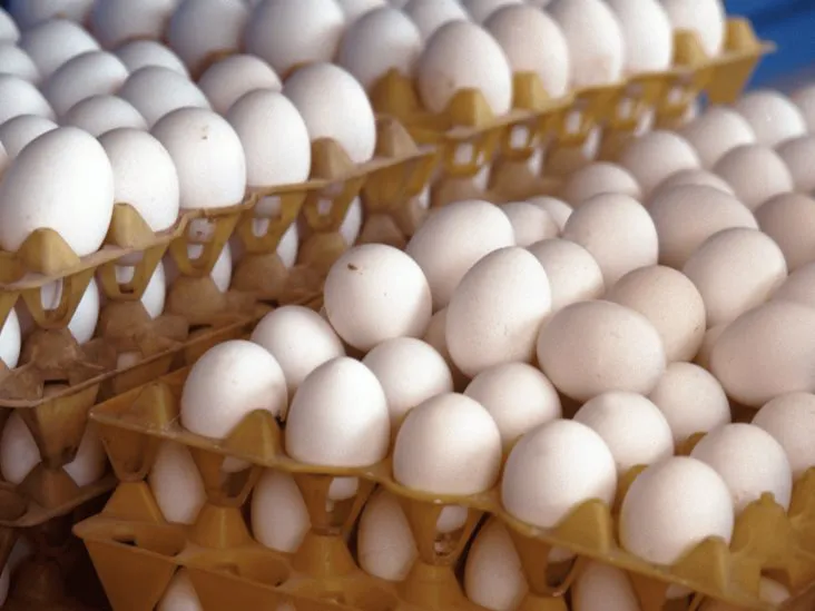 como-elegir-y-conservar-el-huevo-correctamente-profeco-da-sus-recomendaciones-3-5c26e835-focus-0-0-732-549