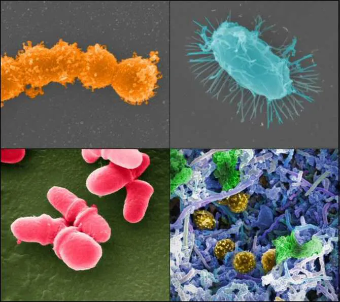6256_los-microbios-se-estan-volviendo-resistentes