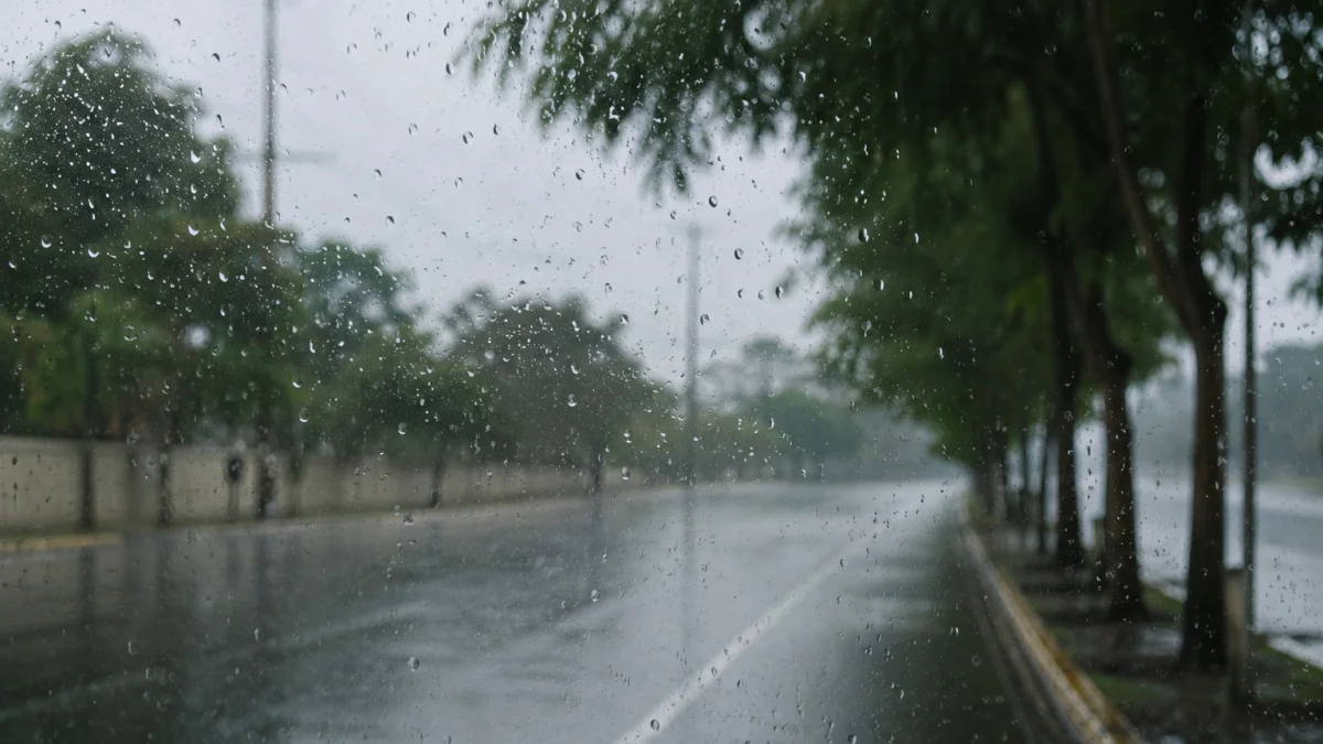 6a499c608f012