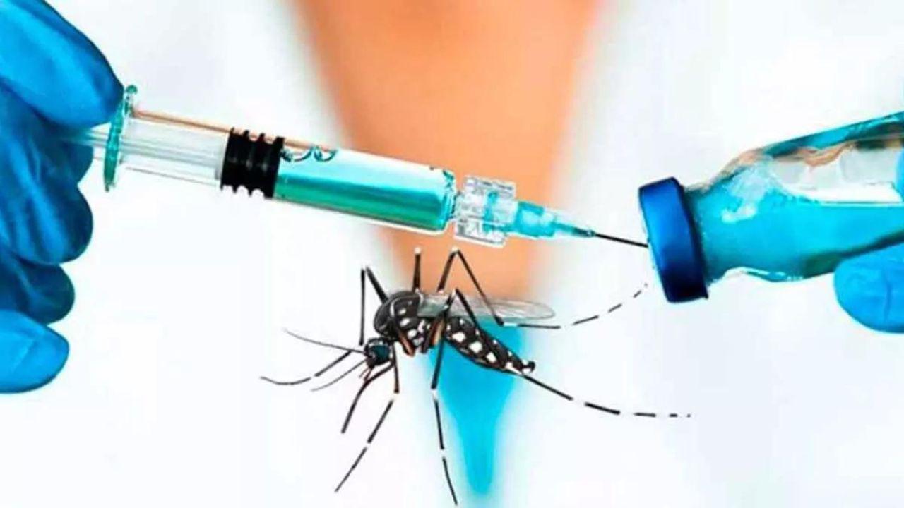 principal_vacuna_chikungunya_estados_unidos