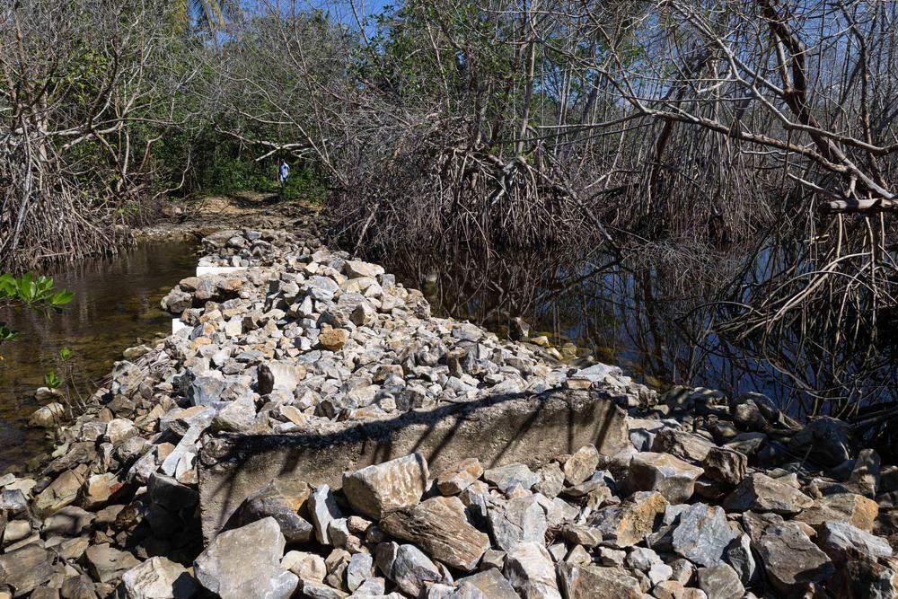 04012024-investigacion-de-danos-de-manglares-de-samana08