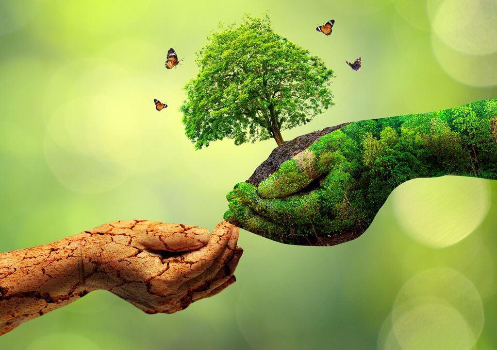 dia-mundial-del-medio-ambiente-el-planeta-necesita-que-nos-convirtamos-en-la-generacion-restauracion-340781-1_1024