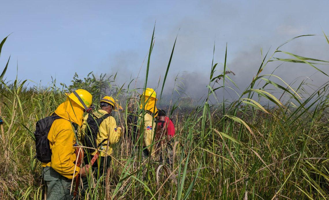 Incendio-forestal-1-1140x694