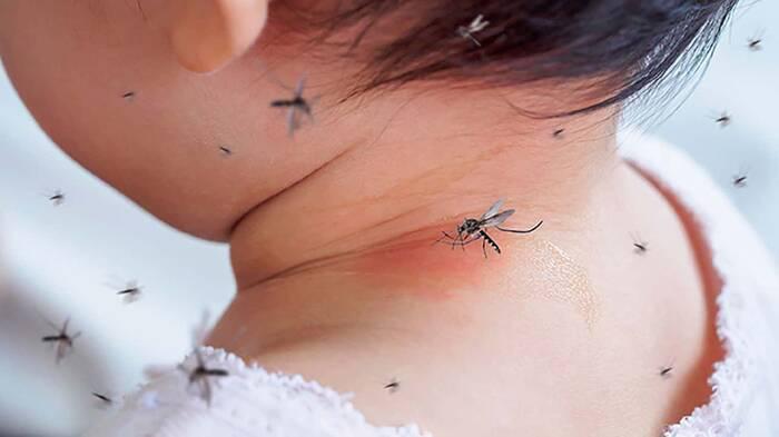 niño con dengue_0
