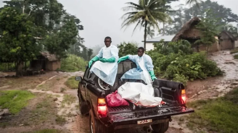 senegal-enfrenta-brote-letal-de-fiebre-del-valle-del-rift-con-28-victimas-e568f6e8-focus-0-0-1200-675-768x430
