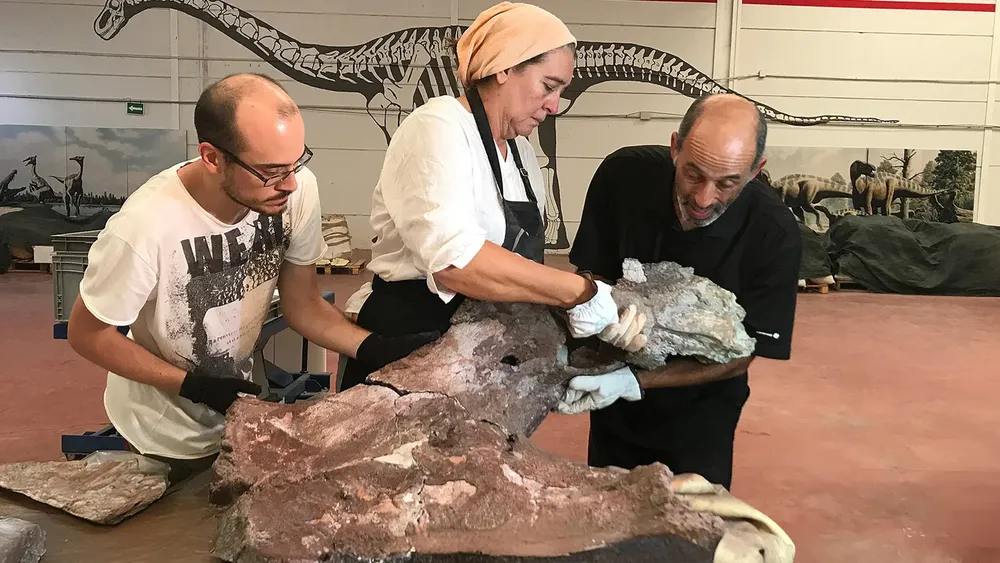 proceso-restauracion-parte-restos-qunkasaura-pintiquiniestra-que-tuvo-larguisimo-cuello-que-hizo-medir-20-metros-peso-mas-15-toneladas_97