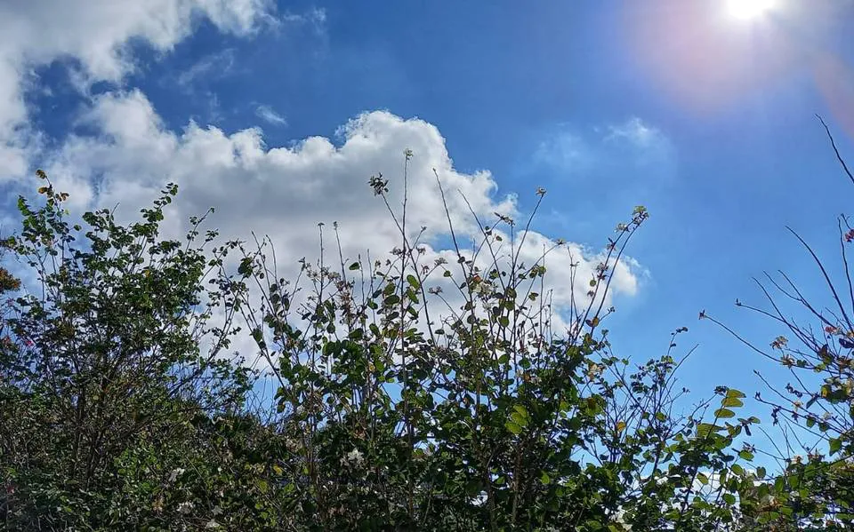 A880F65A-002C-43CC-99FA-E02030D8AA4F