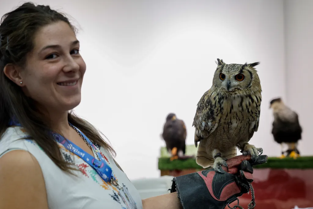 GRAFCVA3531-ESPANA-FIESTAS-BODAS