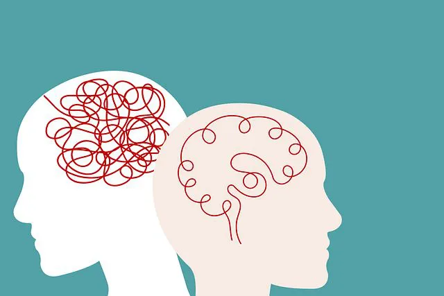 WhatsApp-Image-2024-06-21-at-10.43.56-AM