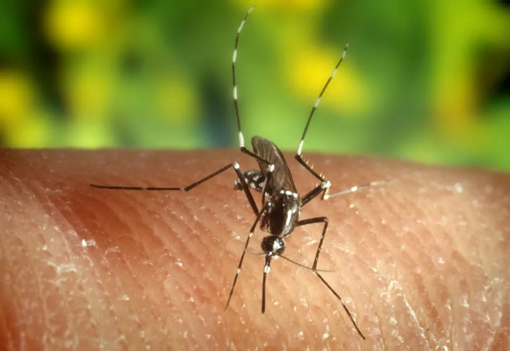VIRUS-DEL-NILO (2)