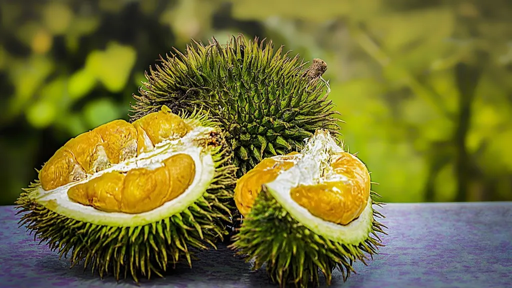 el-durian-esta-prohibido-en-algunos-espacios-publicos-de-singapur-o-tailandia-por-su-fuerte-olor_8326