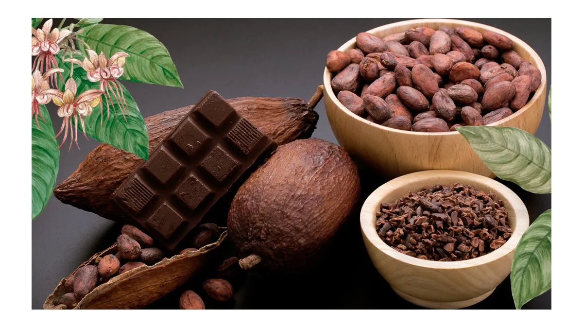 cacaojpg