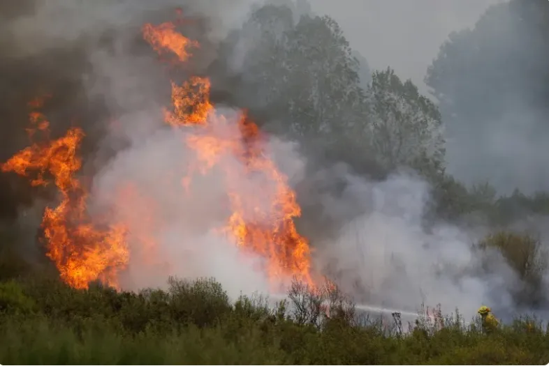 INCENDIOS