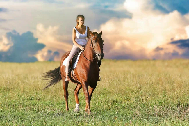 07-11_dia-mundial-caballo_m