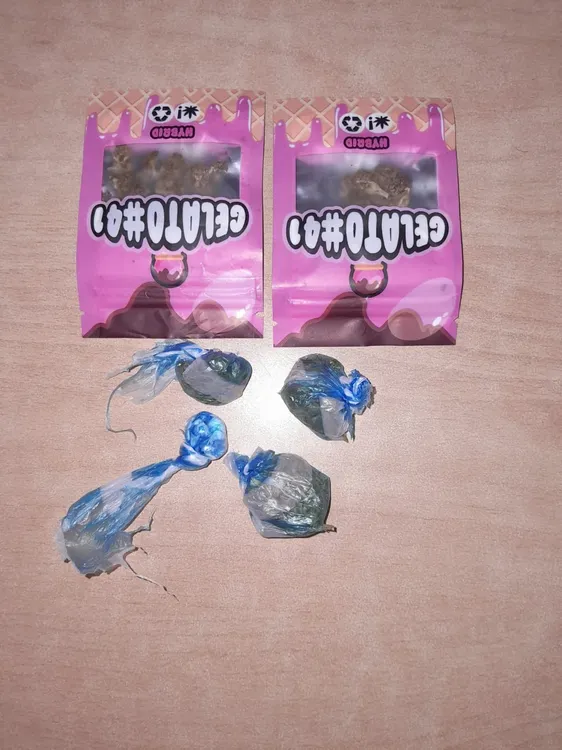 WhatsApp-Image-2026-04-02-at-9.16.51-AM