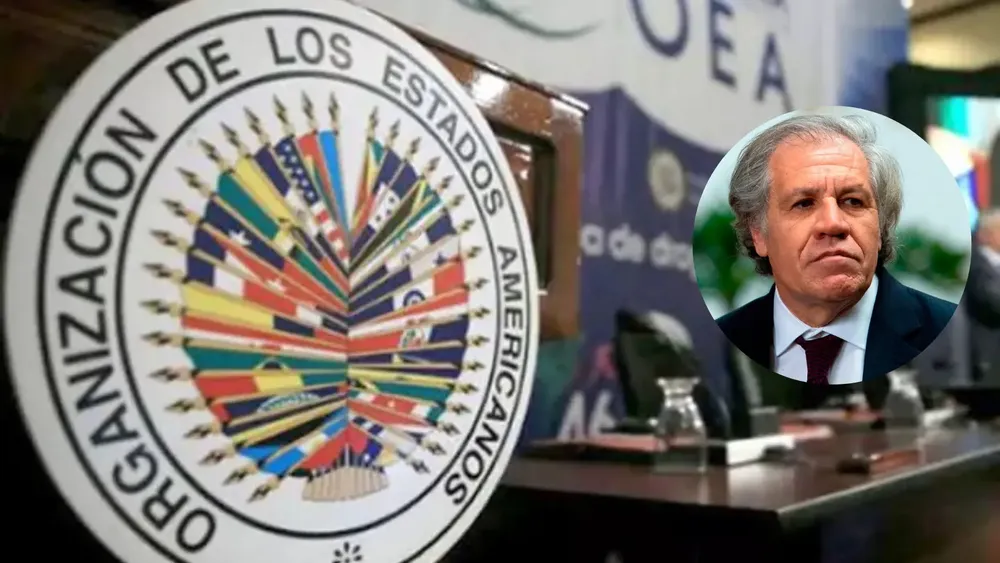 CDN-OEA-califica-de-manipulacion-aberrante-elecciones-en-Venezuela-y-exige-acciones.jpg