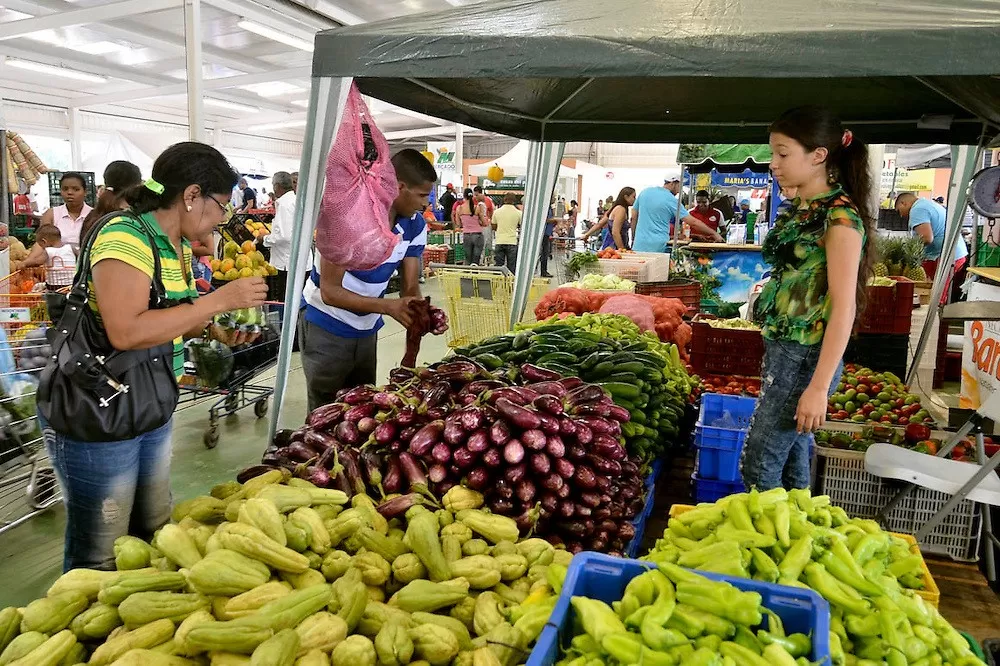 alimentos