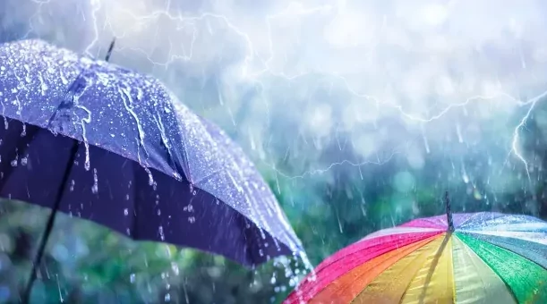 Captura-de-pantalla-2024-09-27-072339-1