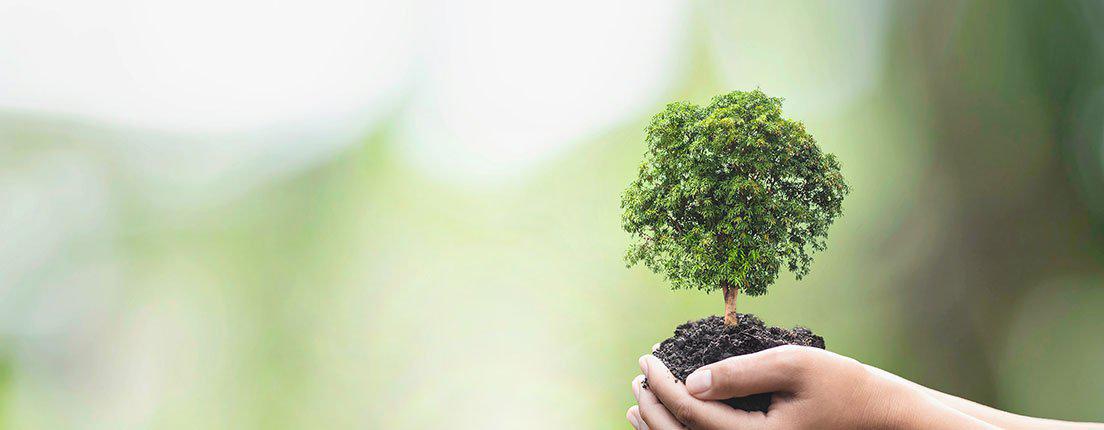 BannerPostsCirculoVerde