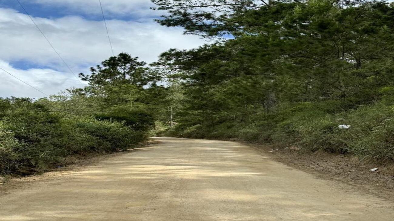 WhatsApp Image 2024-08-29 at 10.