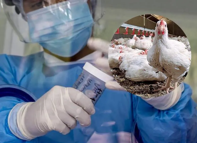 gripe-aviar-estados-unidos_46005044_20240907182638