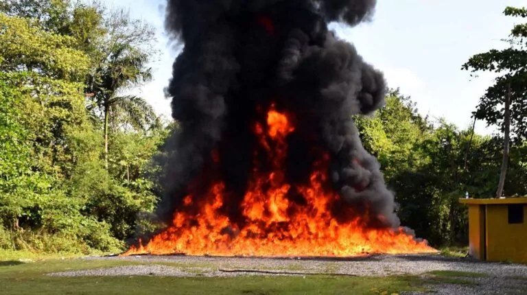 Las-autoridades-incineran-mas-de-cien-kilos-de-drogas-incautados-en-diversos-operativos-1140x675-1-768x430