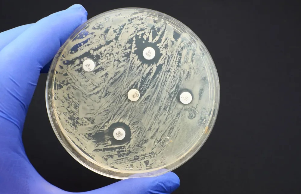 antimicrbial-sesitivity-test