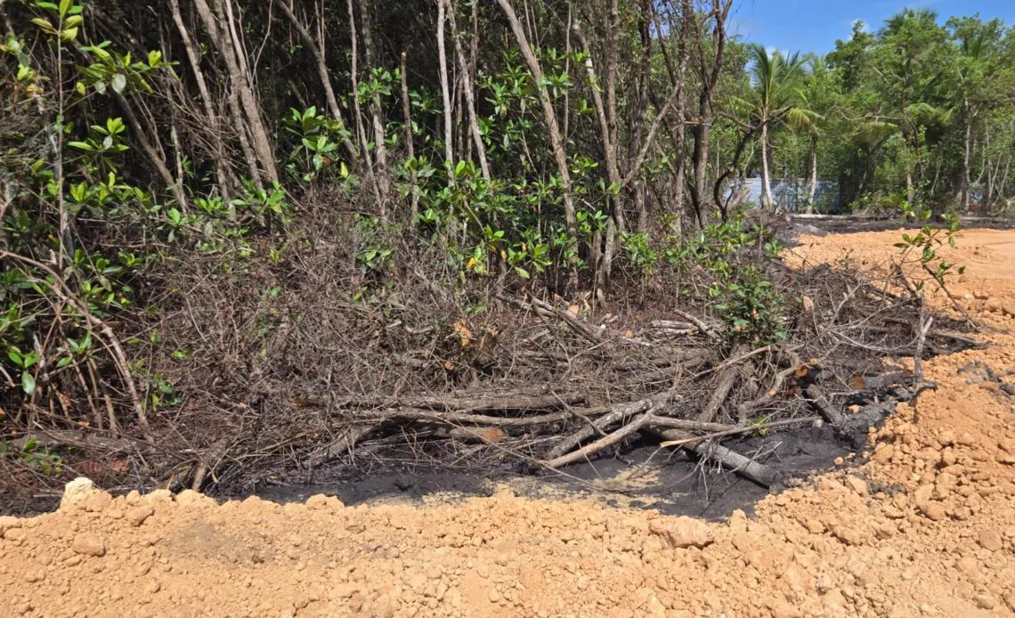 WhatsApp-Image-2025-06-16-at-8.11.56-PM-1140x694