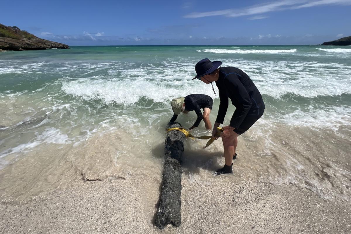 c719f56c5826d523530a65a48aed0b20