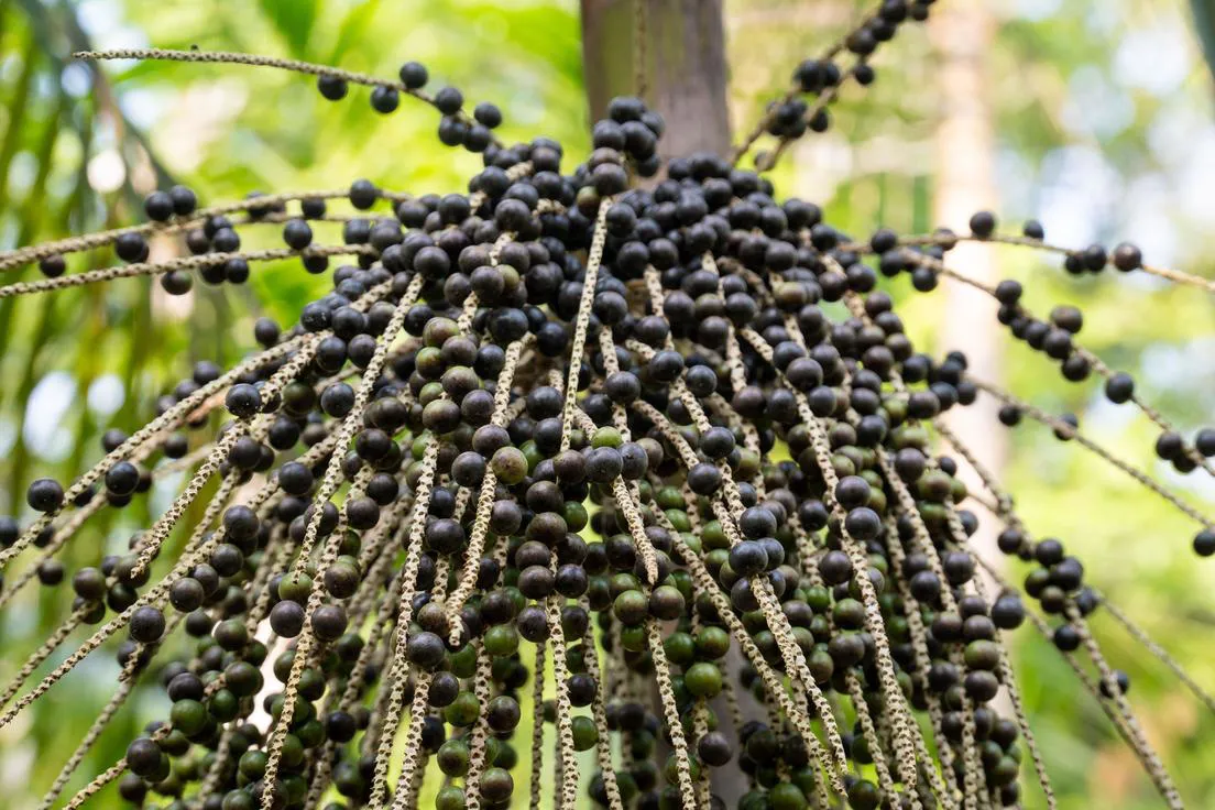 66d9bf4e59bf5b56111ec89c