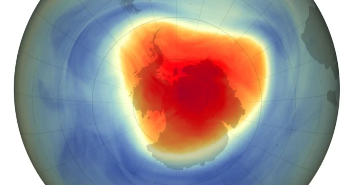 673db06ded49f.r_d.1738-977-5859