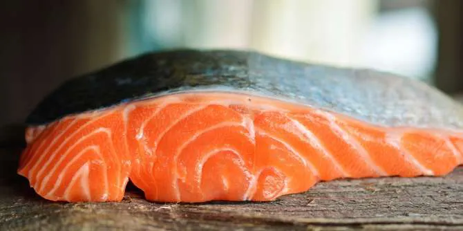 1261_salmon-3139390_1280