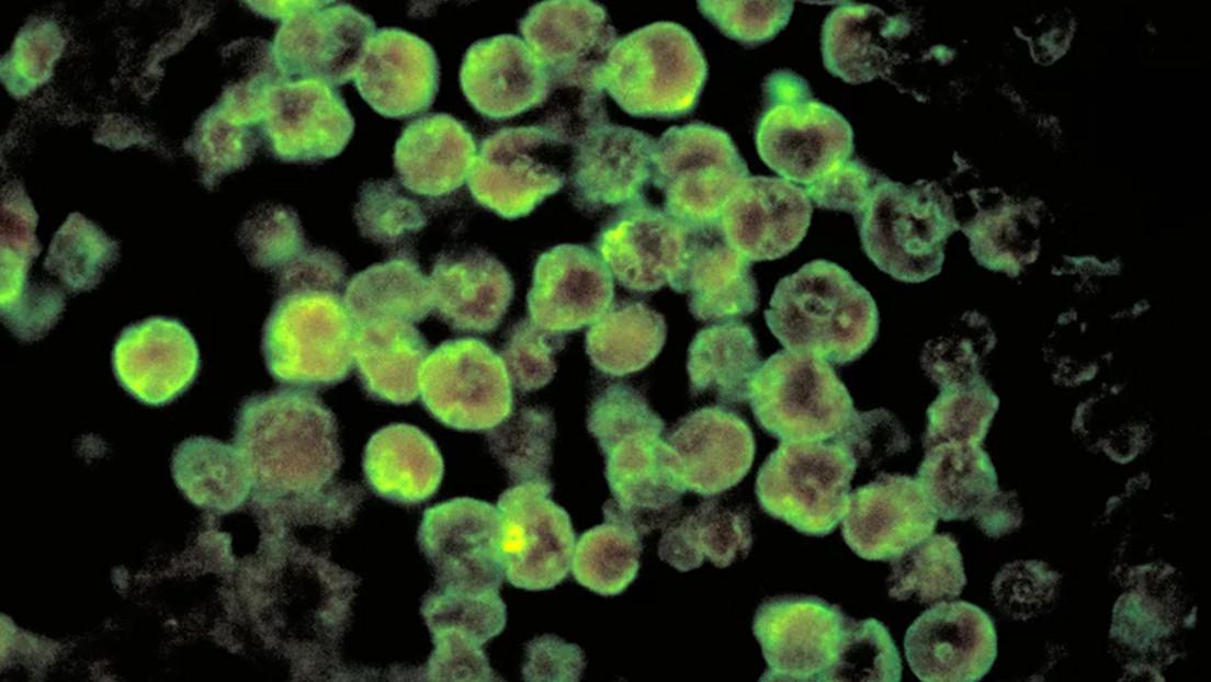 6567341859bf5b1bbf735643