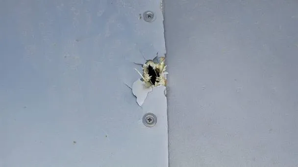 aeronave-de-matricula-dominicana-fue-baleada-en-haiti-352a2ad8-focus-0.08-0.45-608-342