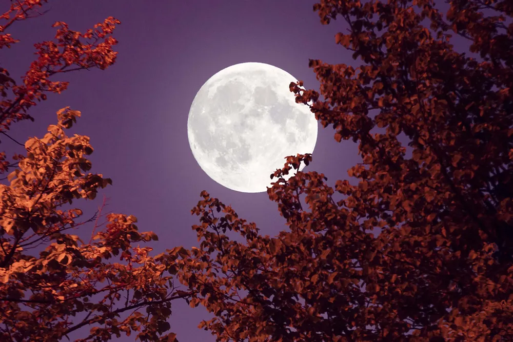 luna llena mayo de flores